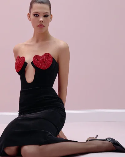 Mermaid velvet dress